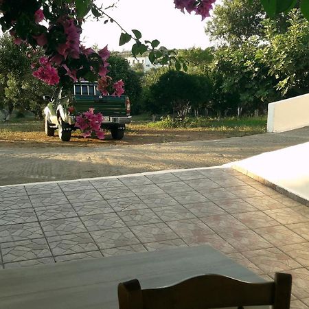 Theofilos Appartements Livadi  Ruang foto
