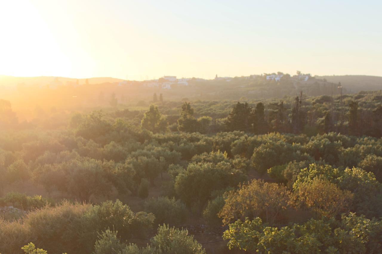 Theofilos Appartements Livadi  Bagian luar foto