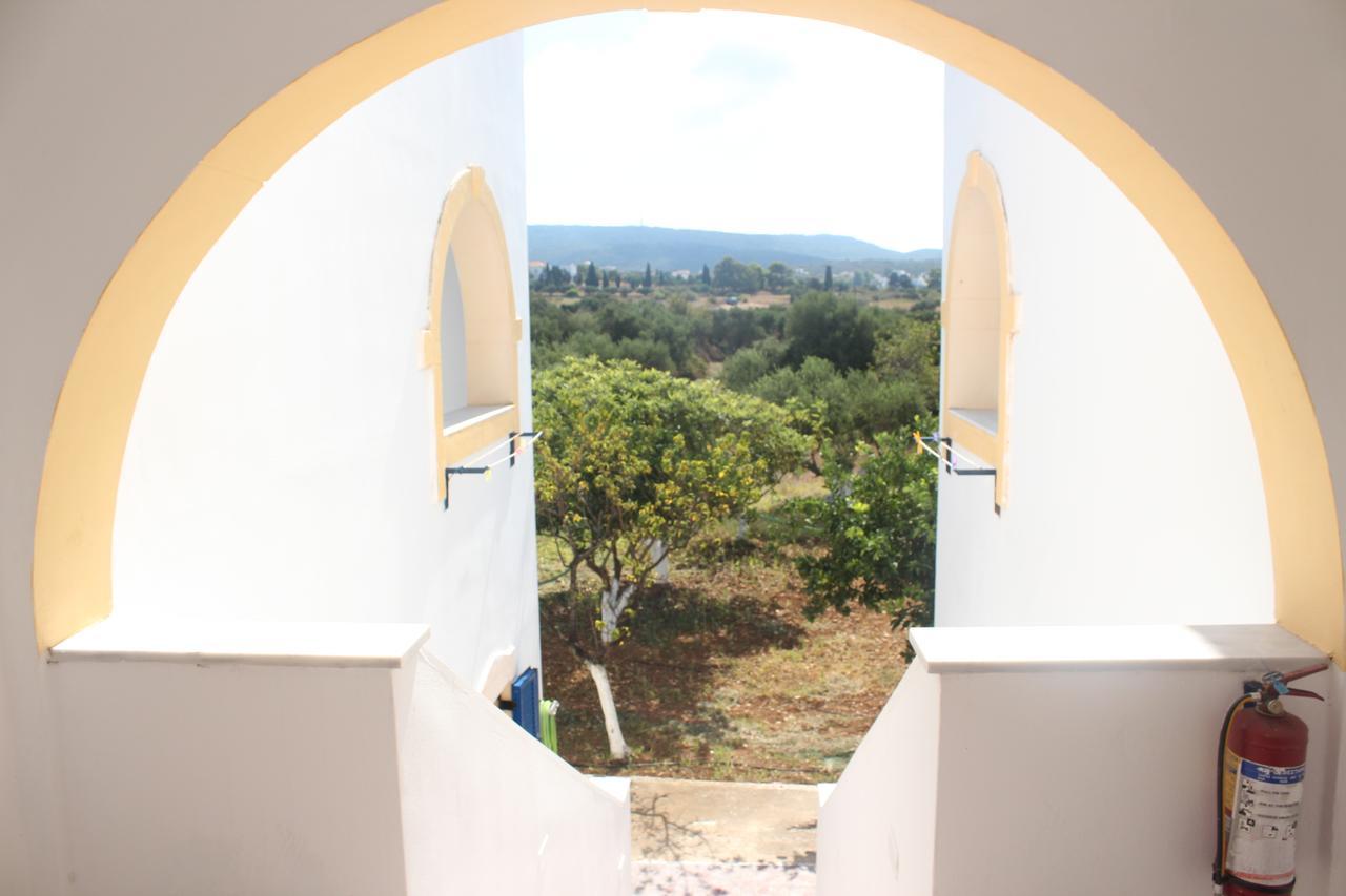 Theofilos Appartements Livadi  Bagian luar foto