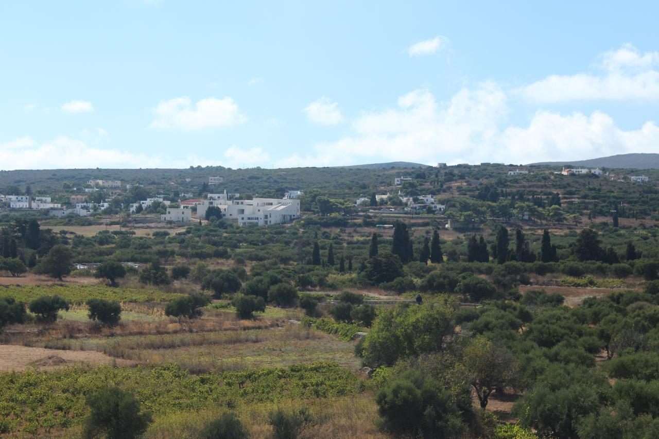 Theofilos Appartements Livadi  Bagian luar foto