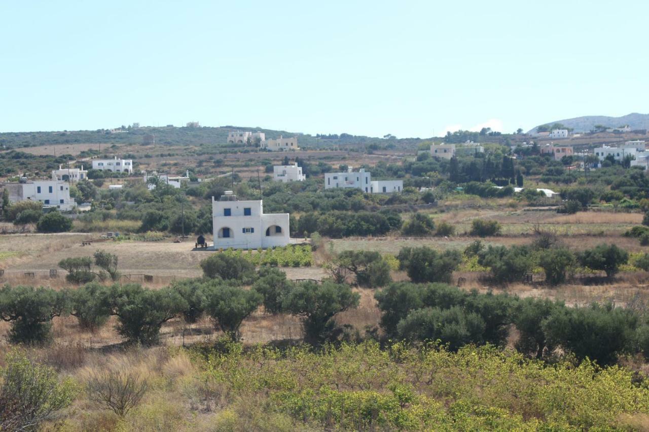 Theofilos Appartements Livadi  Bagian luar foto
